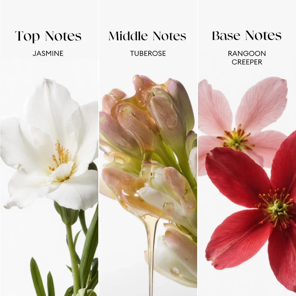 Bloom Secrets